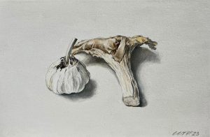 "On a white background" II, oil on canvas, 20/30 cm, 2023, private collection